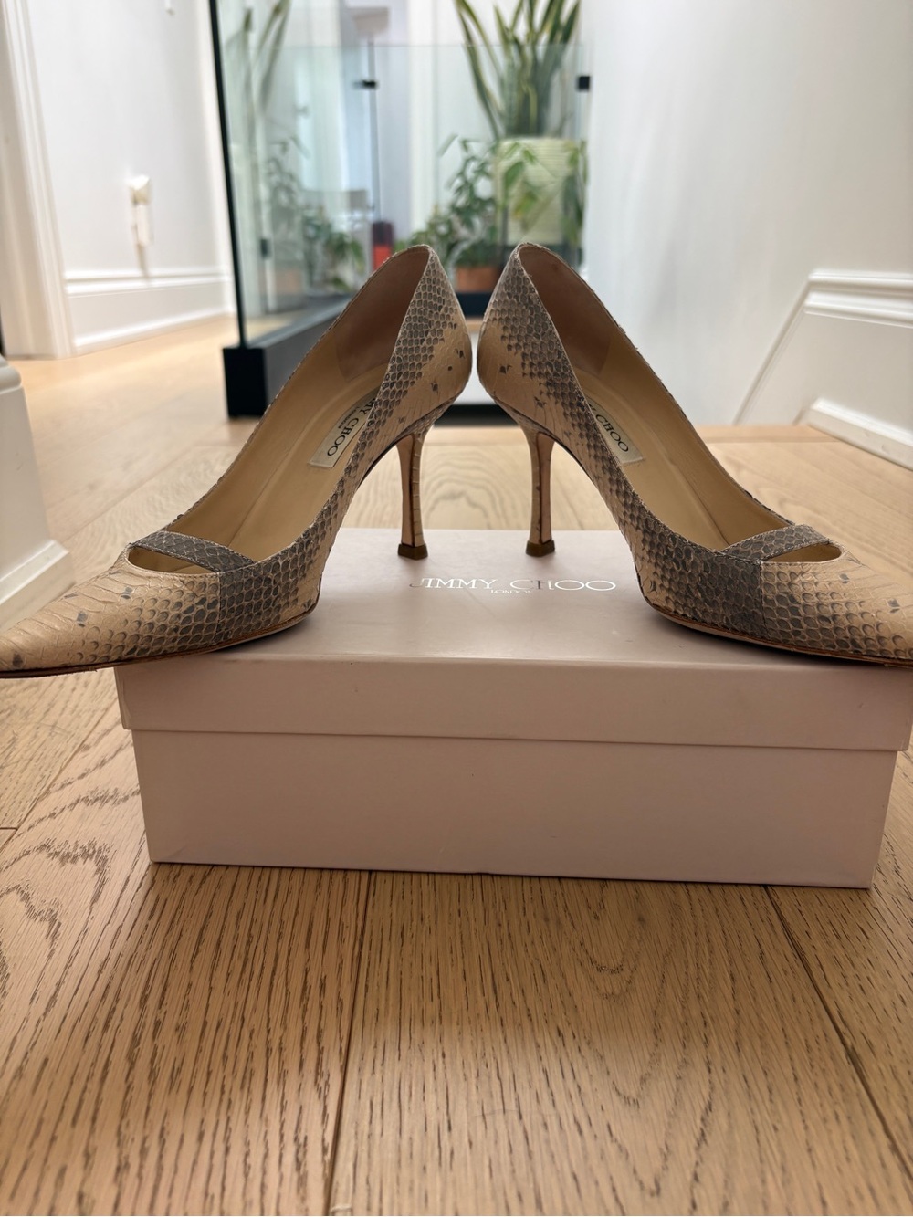 Jimmy Choo - Snakeskin Beige and Gray Pump - Picture 7 of 9
